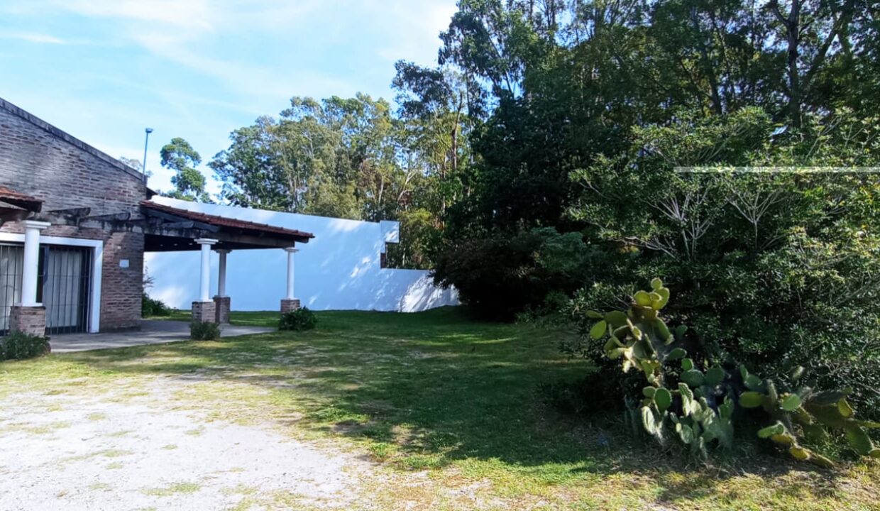 WhatsApp Image 2024-04-12 at 4.20.18 PM (1)