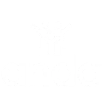 logos medios de pago-06