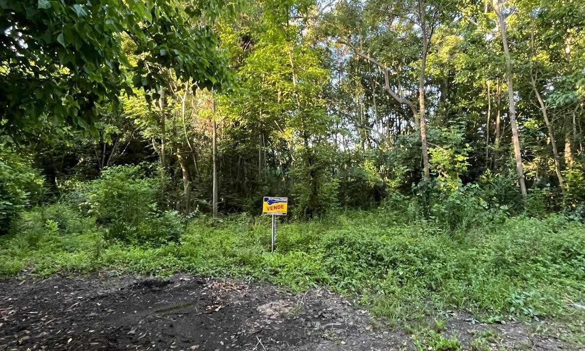 64176b54-d919-4065-b057-f058034e7183