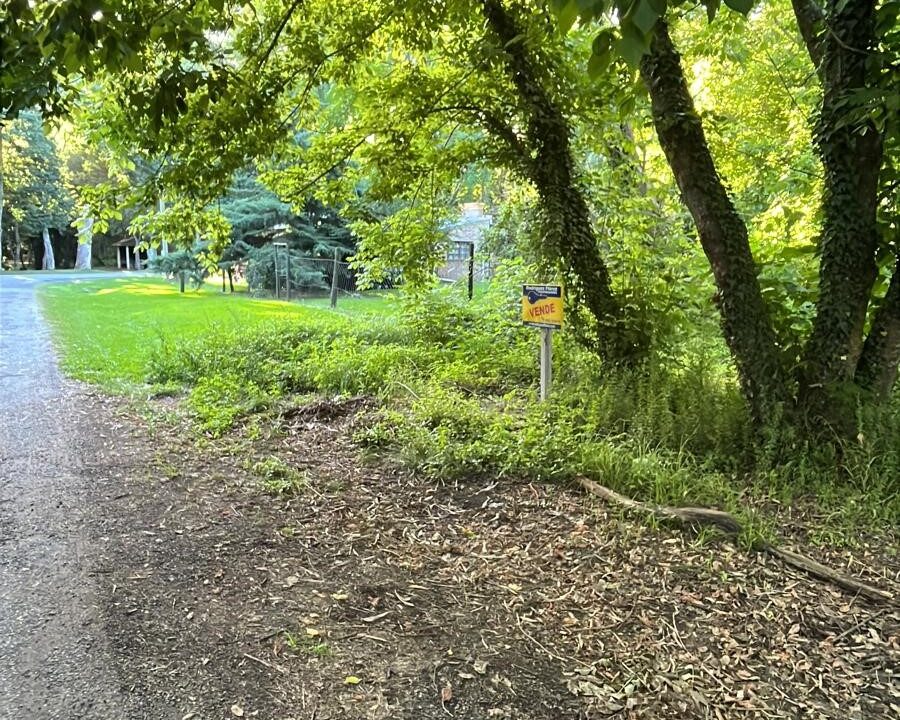 83a2e794-d5bd-45fe-a884-ef37796d4593