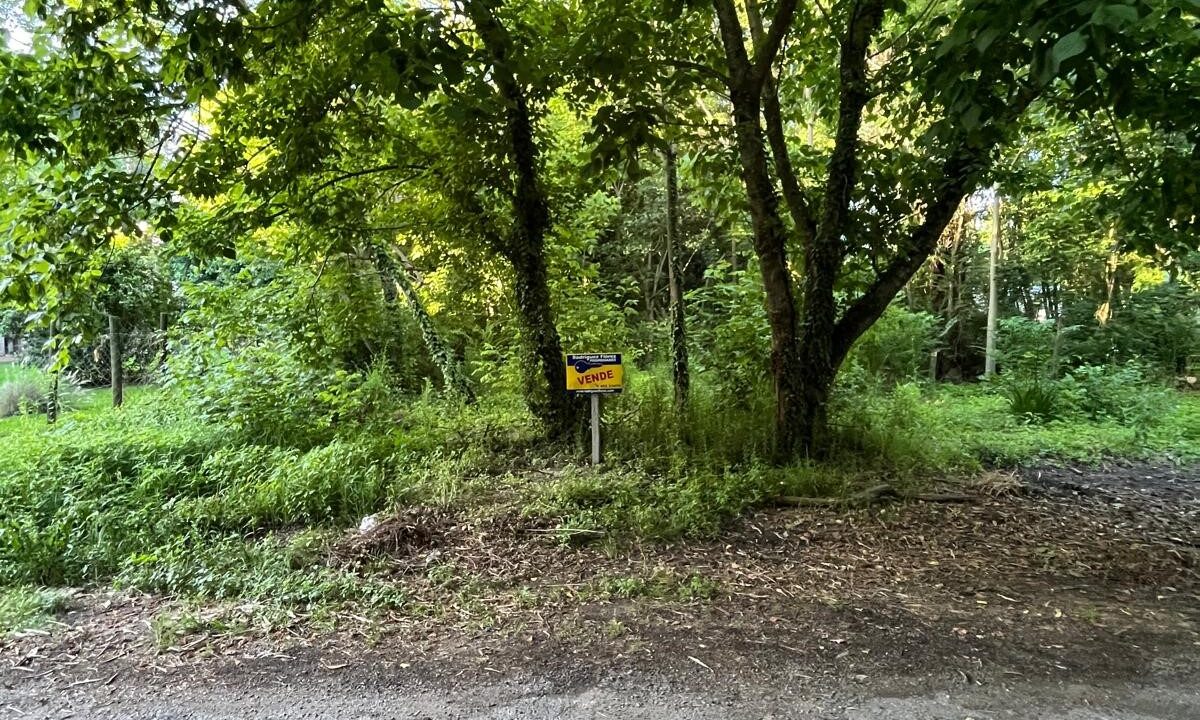 9f99ac91-6c39-44cd-bcd8-a313df376ec2