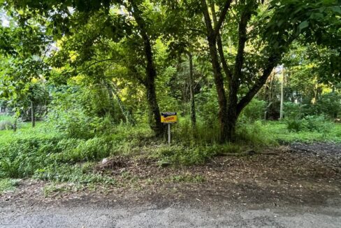 9f99ac91-6c39-44cd-bcd8-a313df376ec2