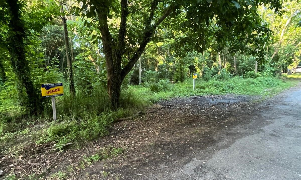 bc86339f-59ae-4501-ab37-87369fa877b6